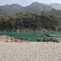 Aloha On the Ganges, Rishikesh - A Review